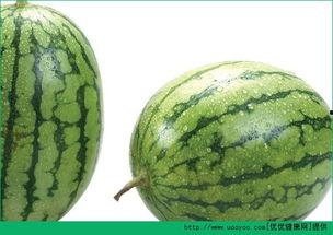 吃瓜过敏皮疹,揭秘过敏源与应对策略  第3张